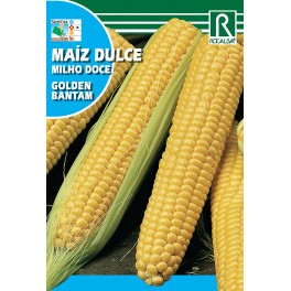 Semilla maíz dulce golden bantam