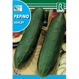 Semilla pepino ashley