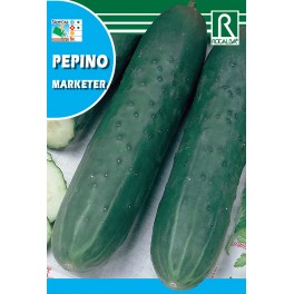 Semilla pepino marketer