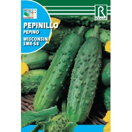Semilla pepinillo wisconsin smr-58