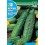 Semilla pepinillo wisconsin smr-58