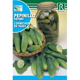 Semilla pepinillo cornichon de paris