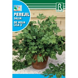 Semilla perejil de hoja lisa 2