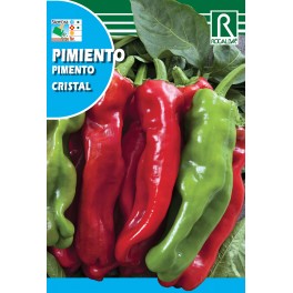Semilla pimiento cristal