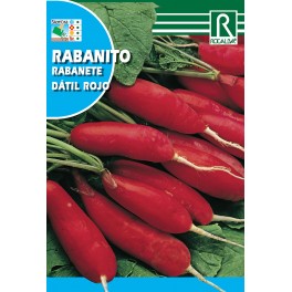 Semilla rabanito dátil rojo