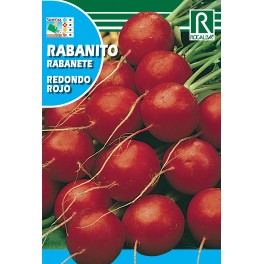 Semilla rabanito redondo rojo