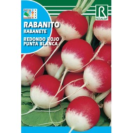 Semillas de Rábano Redondo Rojo Punta Blanca