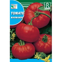 Semilla tomate marmande
