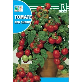 Semilla tomate red cherry
