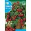 Semilla tomate red cherry
