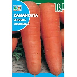 Semilla zanahoria chantenay