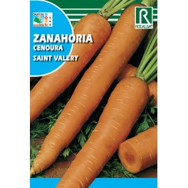 Semilla zanahoria saint valery