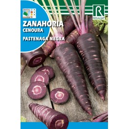 Semilla zanahoria pastenaga negra