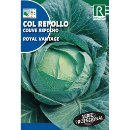 Semilla col repollo royal vantage (híbrida)