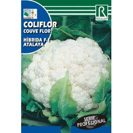 Semilla coliflor híbrida F-1 atalaya
