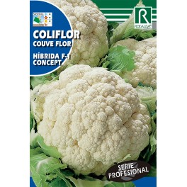 Semilla coliflor híbrida F-1 concept