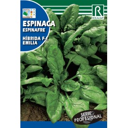 Semilla espinacas híbrida F-1 emilia
