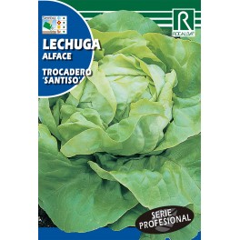 Semilla lechuga trocadero "santiso"