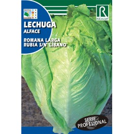 Semilla lechuga romana larga rubia s/n líbano