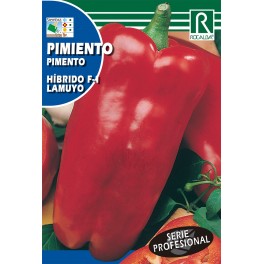 Semilla pimiento coperi