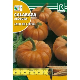 Semilla calabaza jack be little