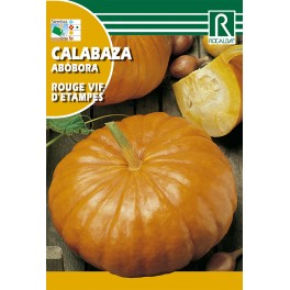 Semilla calabaza rouge vif d'etampes