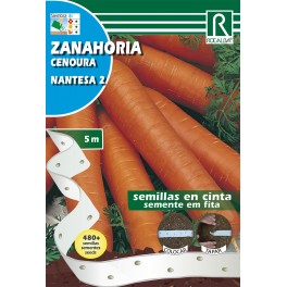 Semilla en cinta zanahoria nantesa 2