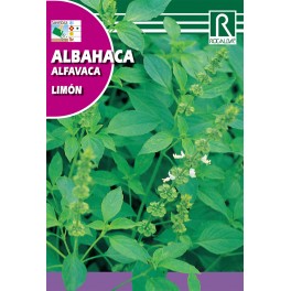 Semilla albahaca limon