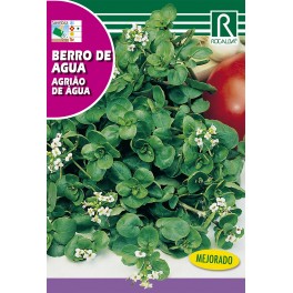 Semilla berro de agua