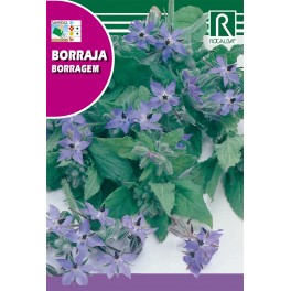 Semilla borraja