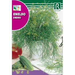 Semilla eneldo