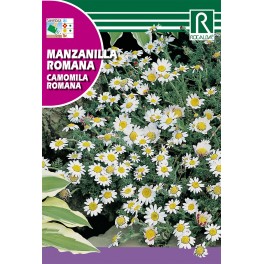 Semilla manzanilla romana