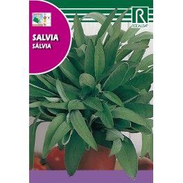 Semilla saanguisorba