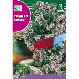 Semilla tomillo