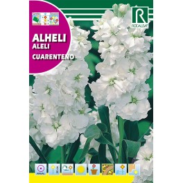 Semilla alheli cuarenteno (blanco)