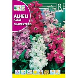 Semilla alheli cuarenteno (veriado)