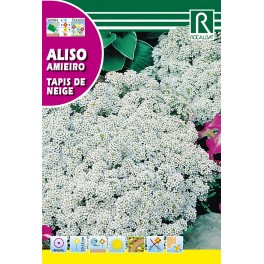Semilla Aliso tapis de neige