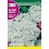 Semilla Aliso tapis de neige