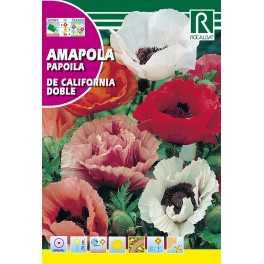 Semilla amapola de California Doble