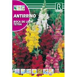 Semilla antirrino boca de león tetra