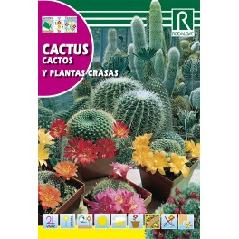 Semilla cactus y plantas crasas