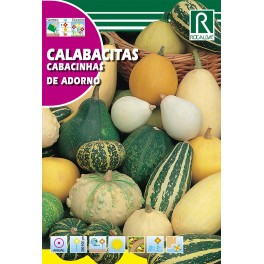 Semilla calabacitas de adornos