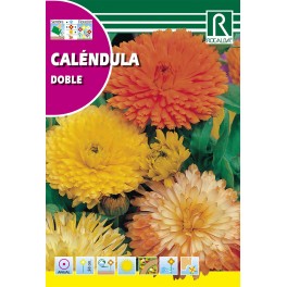 Semilla caléndula doble