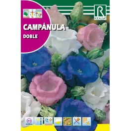 Semilla campánula doble