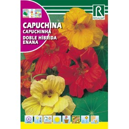 Semilla capuchina doble híbidra enana