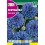 Semilla Centaurea blue boy