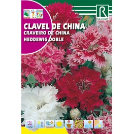 Semilla clavel de china heddewig doble