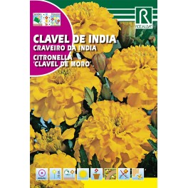 Semilla clavel de la india "clavel de moro"
