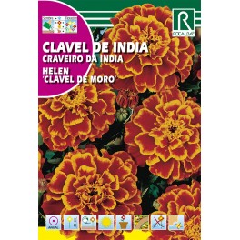 Semilla clavel de la India citronella "clavel de moro"
