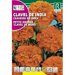 Semilla clavel de la India petit orange "clavel de moro"